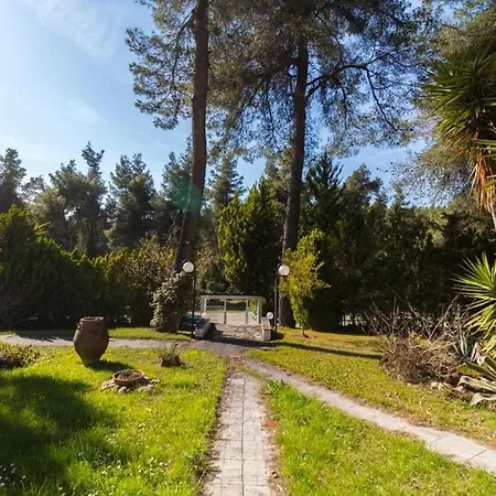 Villa #als-pinewood Sea And Blue Sky Száni-part